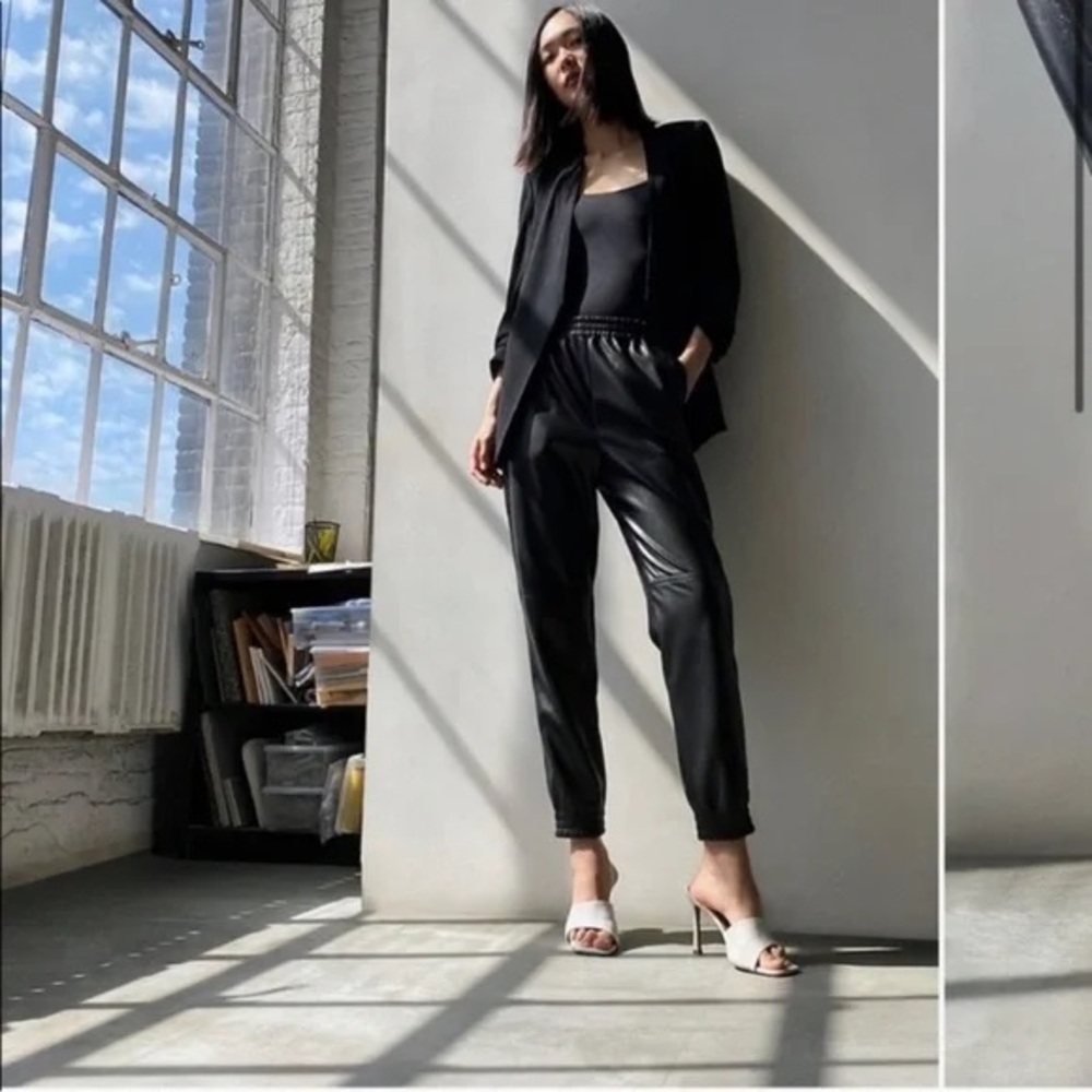 Wilfred by Aritzia Faux Leather Pants XS 🖤 Pull-On | MSRP $148